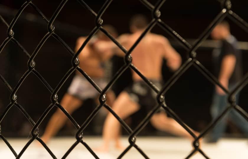 UFC X 2024 - 2 Day Pass (June 28-29)