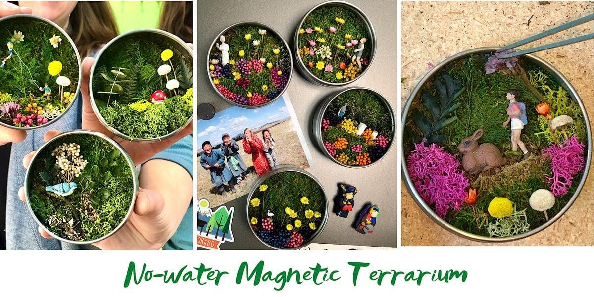 No-water Magnetic Terrarium