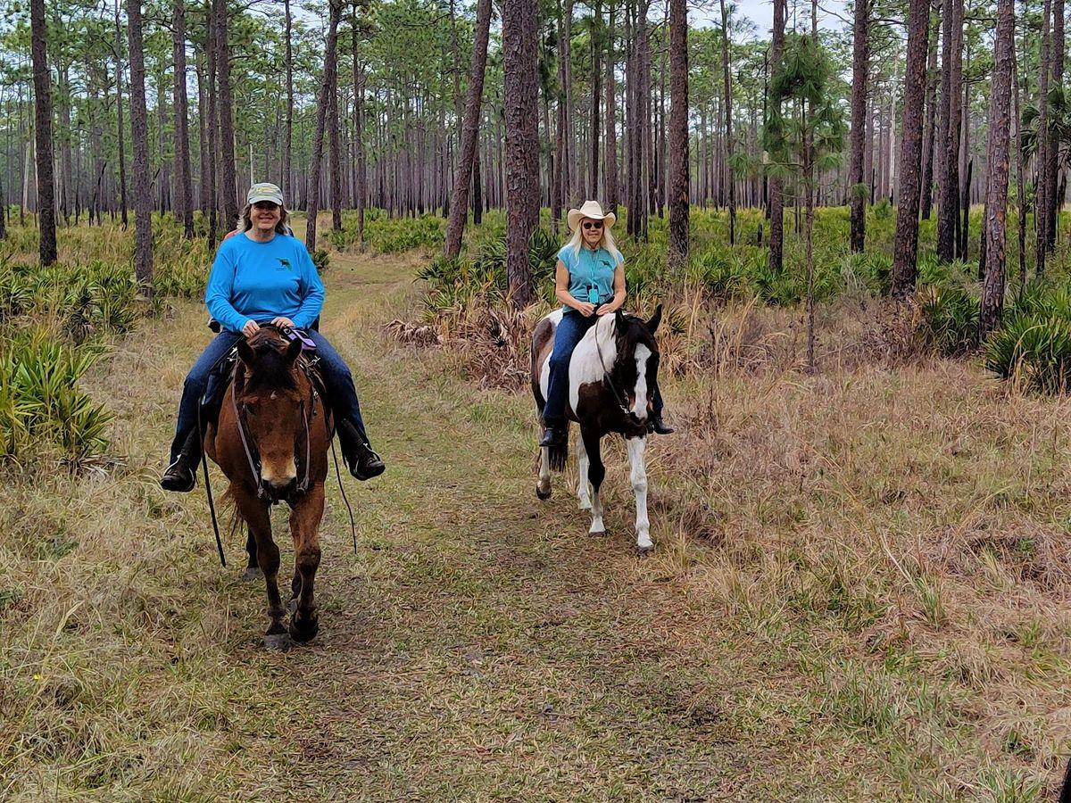 Veterans Day Equestrian Ride
Sat Nov 12, 9:00 AM - Sat Nov 12, 12:00 PM
in 8 days