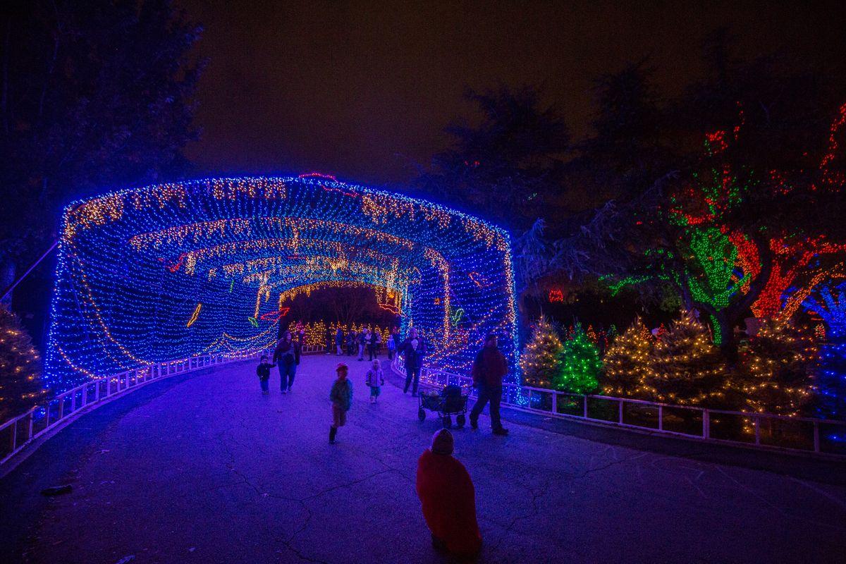 Movie Night at Austin Trail of Lights