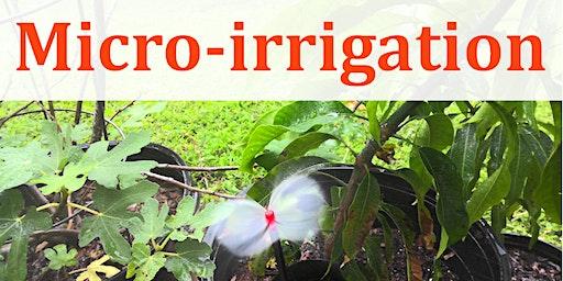 Taking The Mystery Out of Micro-irrigation