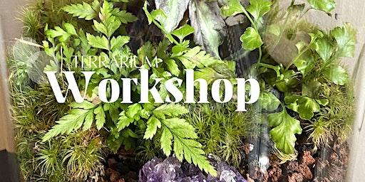 Magic in a Jar Terrarium Workshop