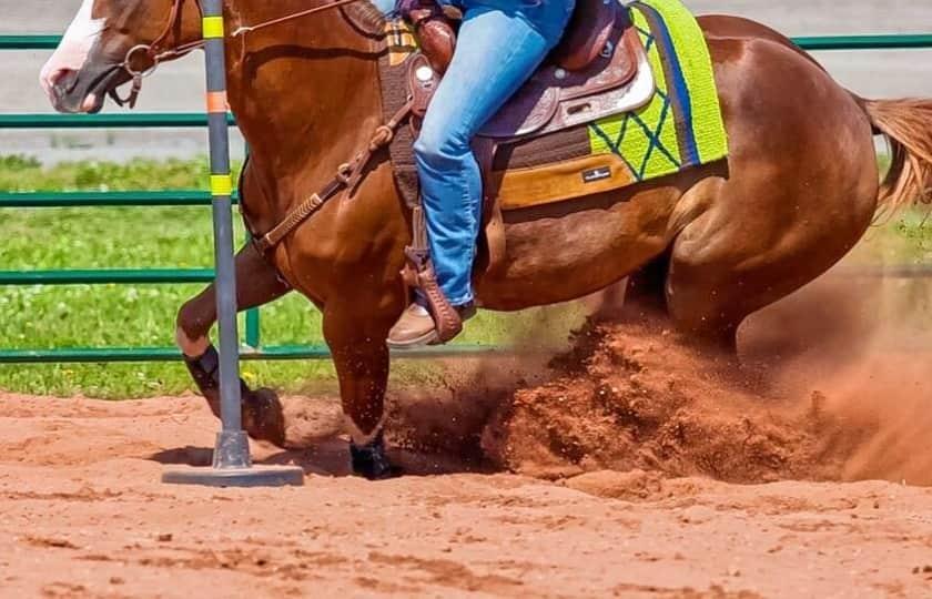 Golden Spike Rodeo - Tough Enough to Wear Pink