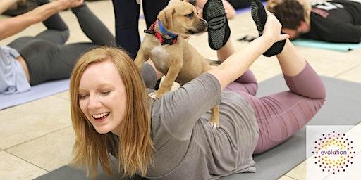 Puppy Yoga