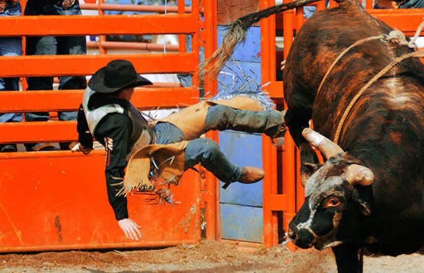 Professional Bull Riders (PBR) - 2 Day Pass (August 9-10)