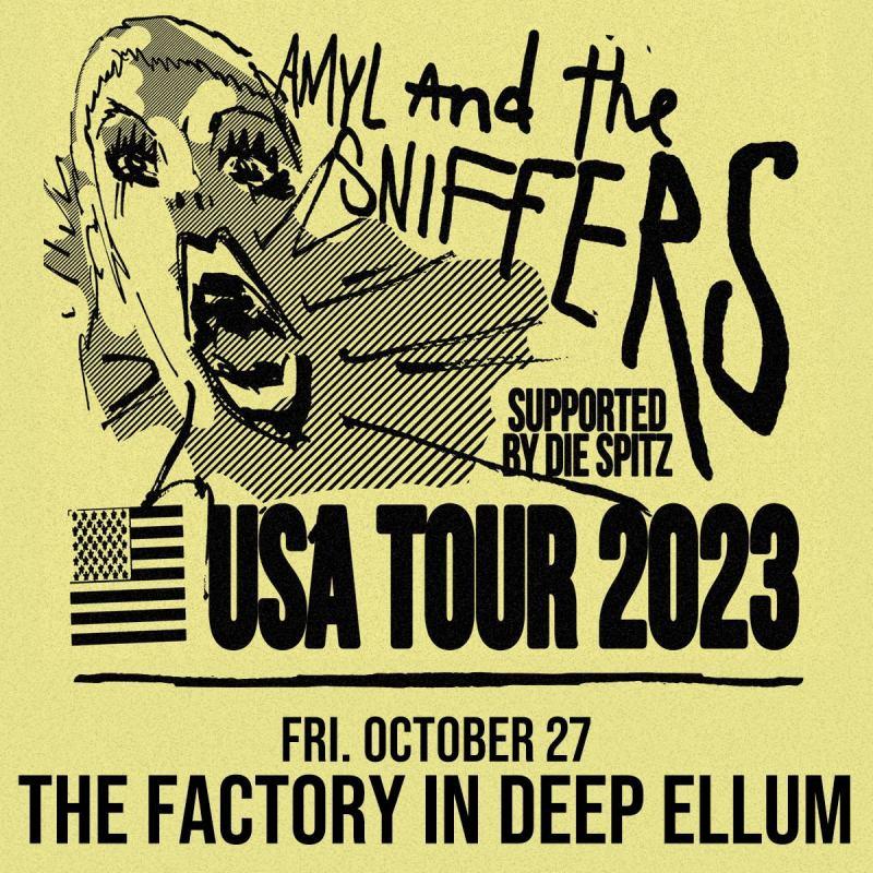 Amyl and The Sniffers