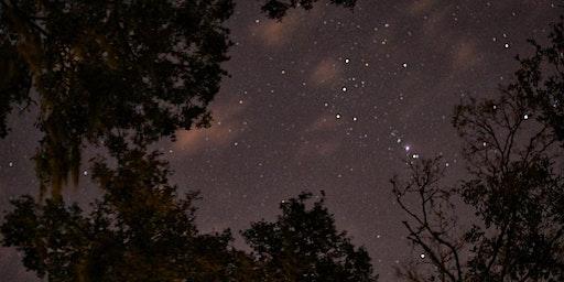 Night Hike in the Preserve