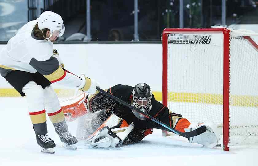 2024-25 Vegas Golden Knights Season Ticket Package (Includes Tickets for all Home Games)