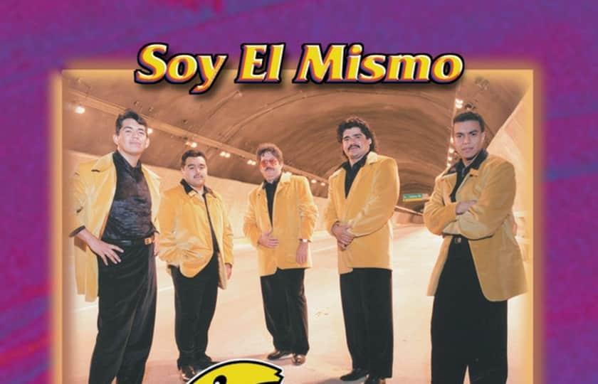 GRUPO PEGASSO DEL POLLO ESTEVAN