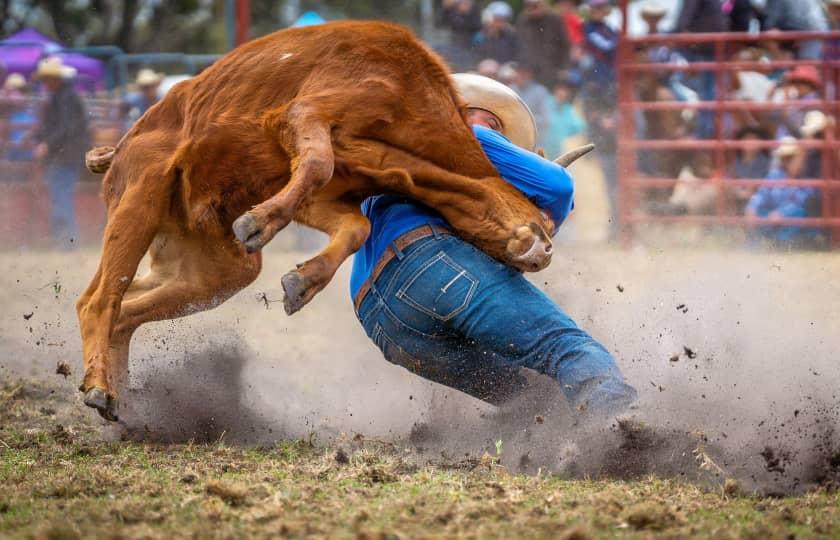 Bulls Only Rodeo