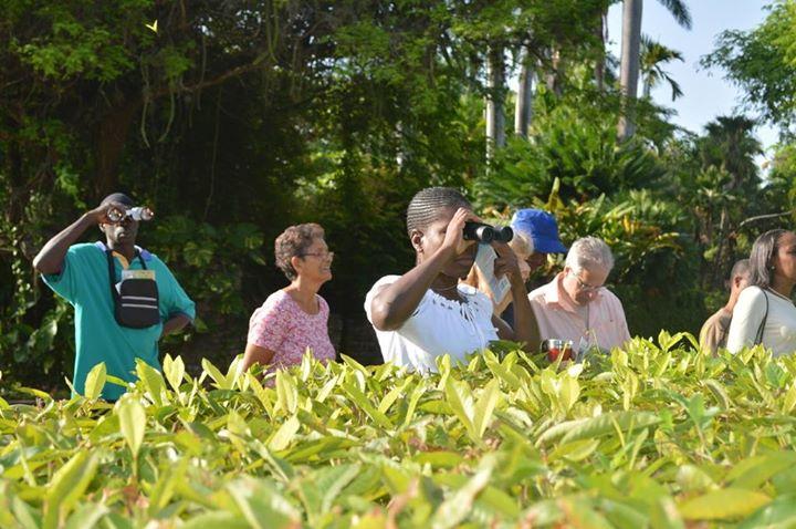 Bird Watching at Hope Gardens