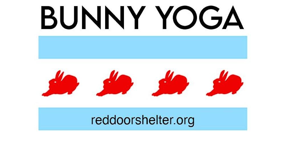 Bunny Yoga!