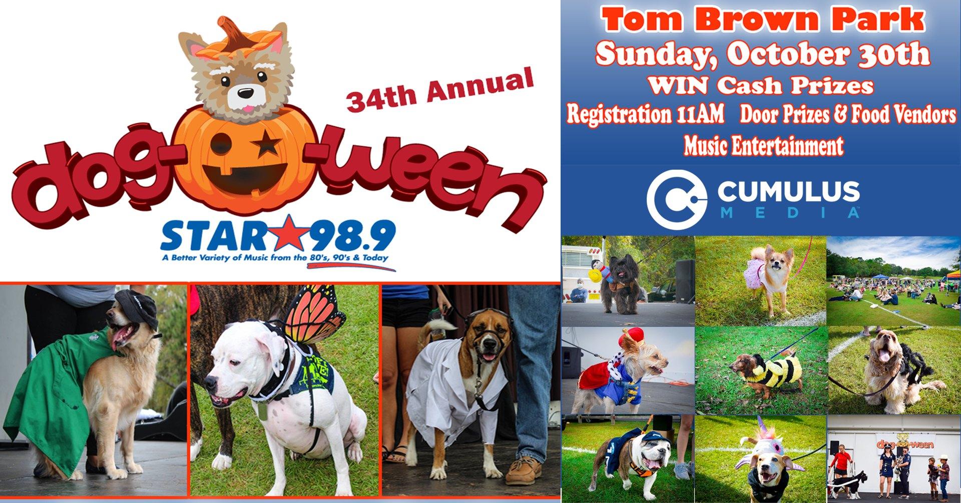 Dog-O-Ween at Tom Brown Park
Sat Oct 29, 10:00 AM - Sat Oct 29, 2:00 PM
in 9 days