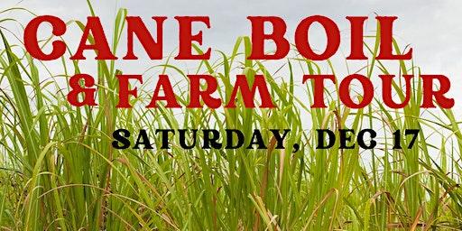 Cane Boil, Farm Tour & Holiday Farm Stand at Frog Song Organics