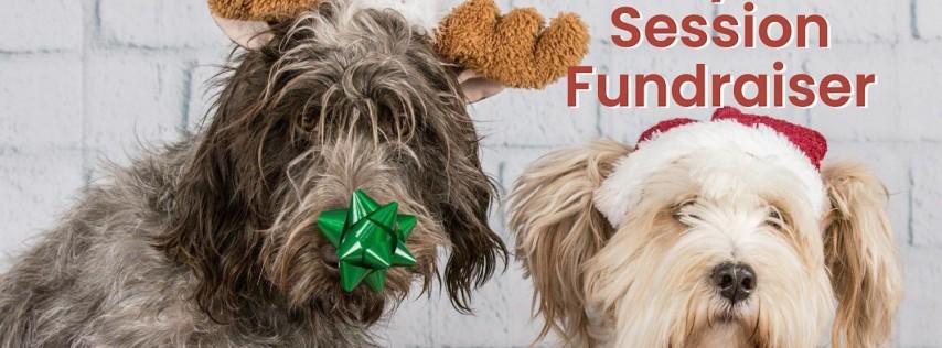 Holiday photos benefiting paws(dublin)