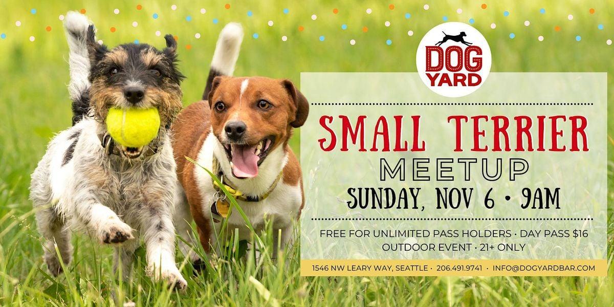 Small Terrier Meetup at the Dog Yard Bar  - Sunday, November 6