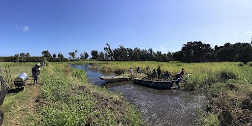 Waialeʻe Volunteer Workday