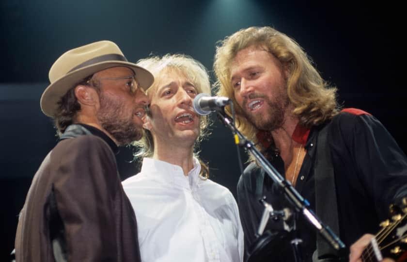 Bee Gees Now - Bee Gees Tribute