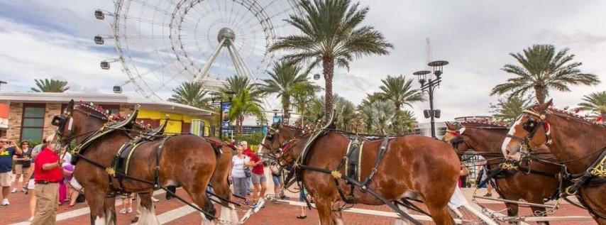 Budweiser Clydesdales at ICON Park