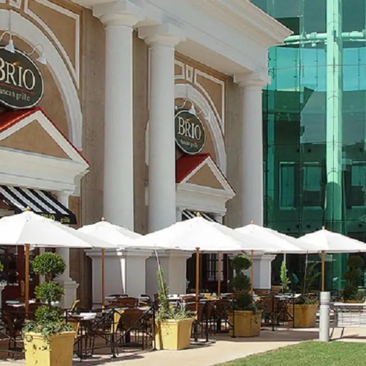 Brio Italian Grille – Millenia