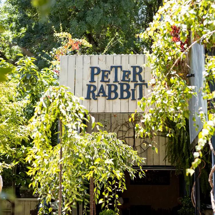 Peter Rabbit