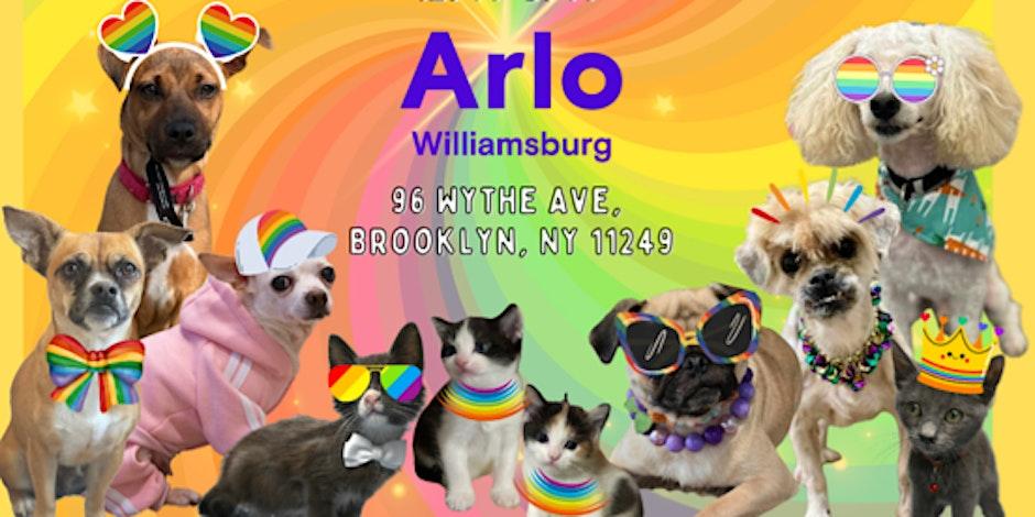 Pups on the Patio: Waggytail Rescue Adoption Meet & Greet @ Arlo Williamsburg