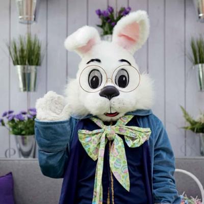 Enjoy A Visit With Caring Bunny