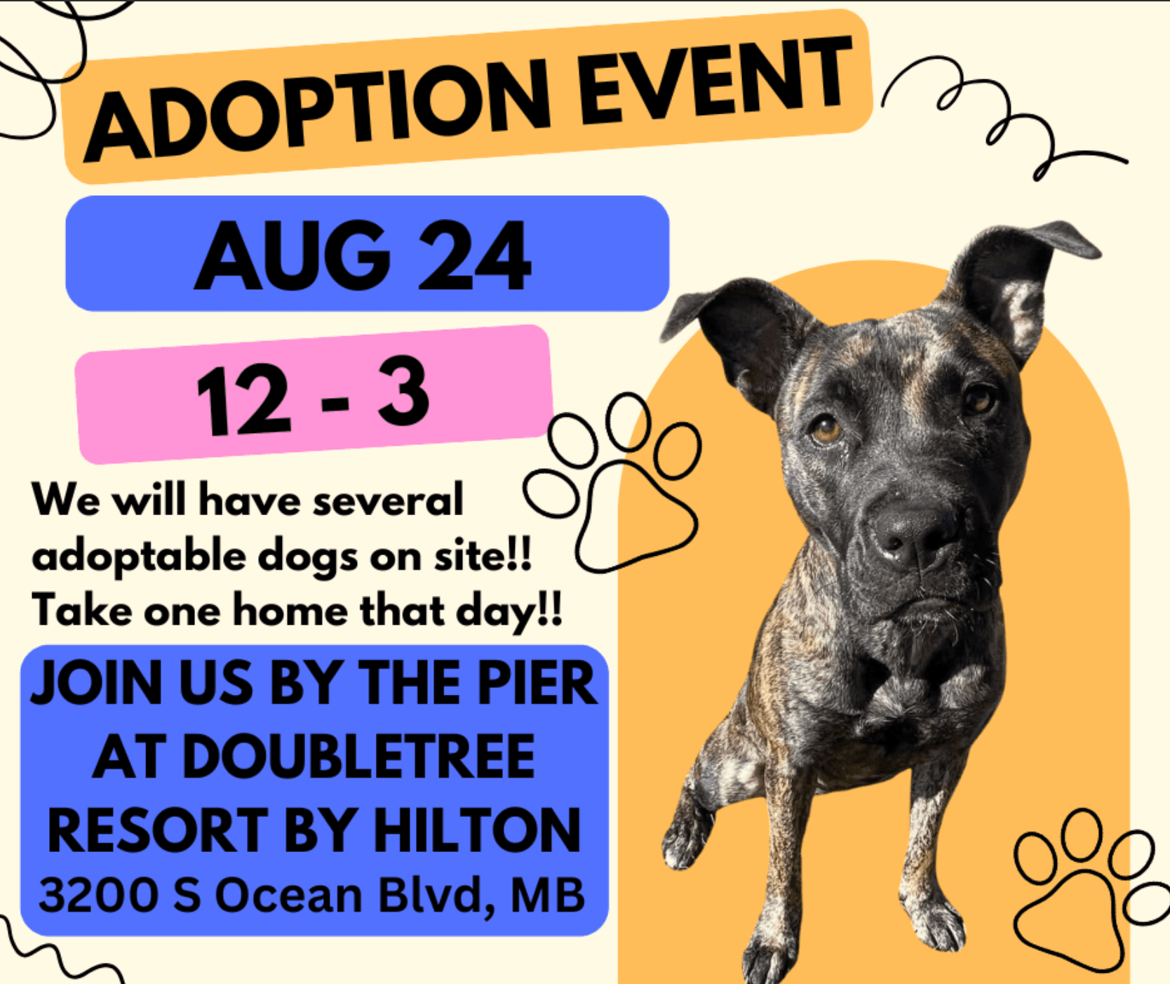 GSHS Dog Adoption event at The Ellie Beach Resort