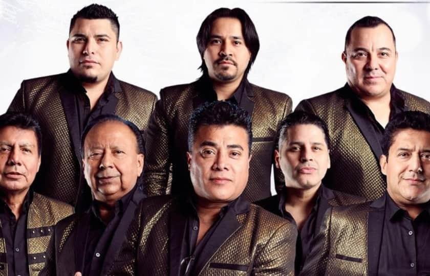 LIBERACION, LADRON, LOS MISMOS Y MAS