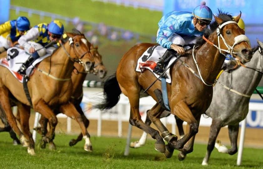 Live Racing at Santa Anita Park