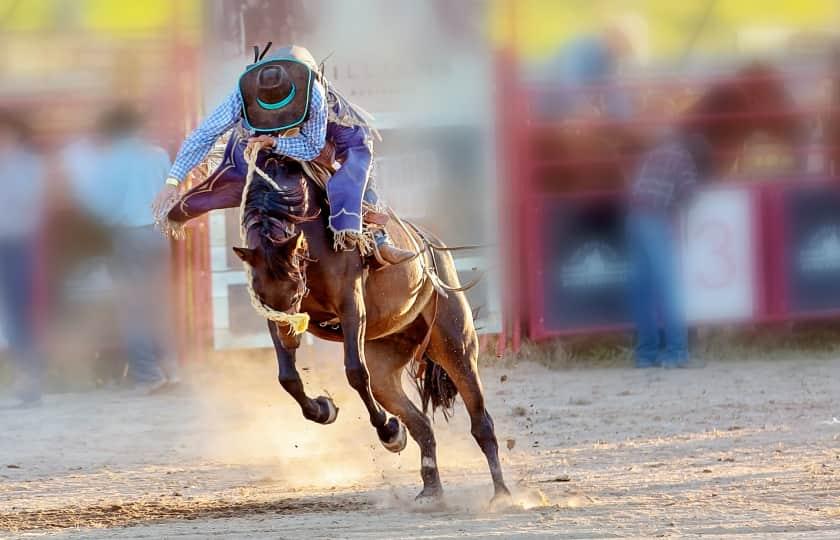 Larimer County Fair PRCA Rodeo Sunday
