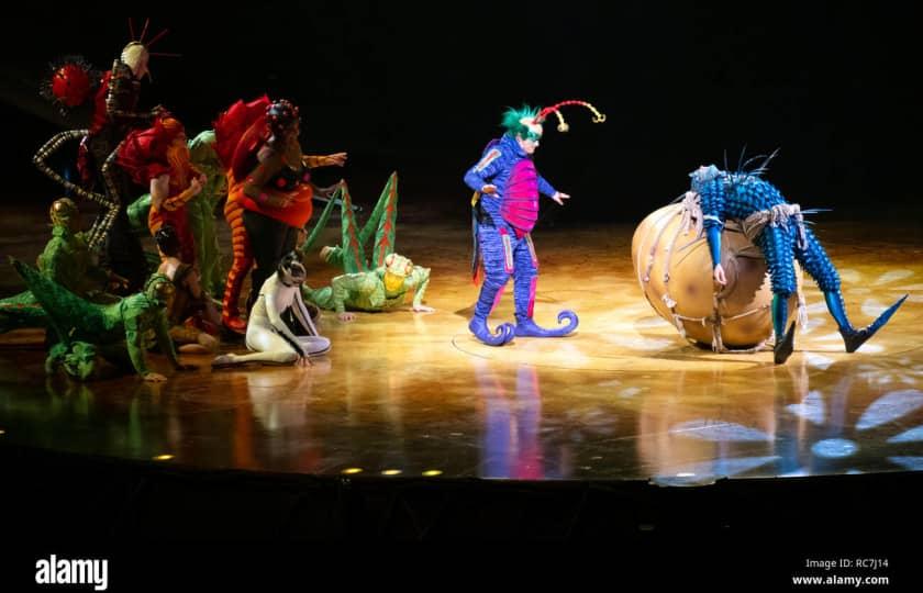 Cirque du Soleil: OVO