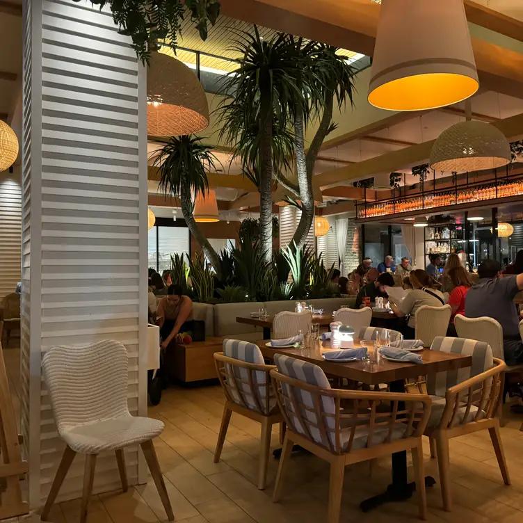 Summer House on the Lake - Disney Springs